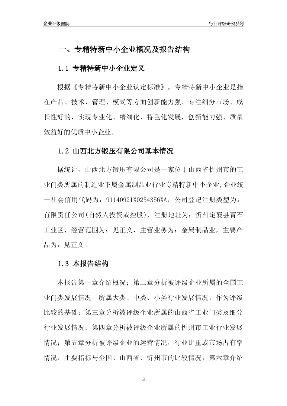[专精特新]山西北方锻压有限公司行业竞争力评级分析报告(2023版)_第3页