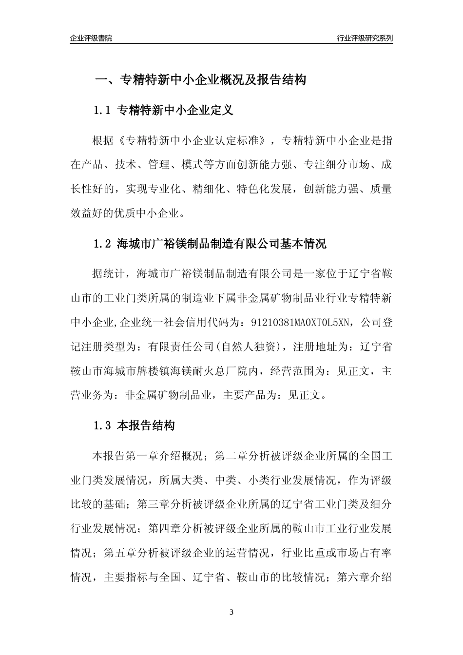 [专精特新]海城市广裕镁制品制造有限公司行业竞争力评级分析报告(2023版)_第3页