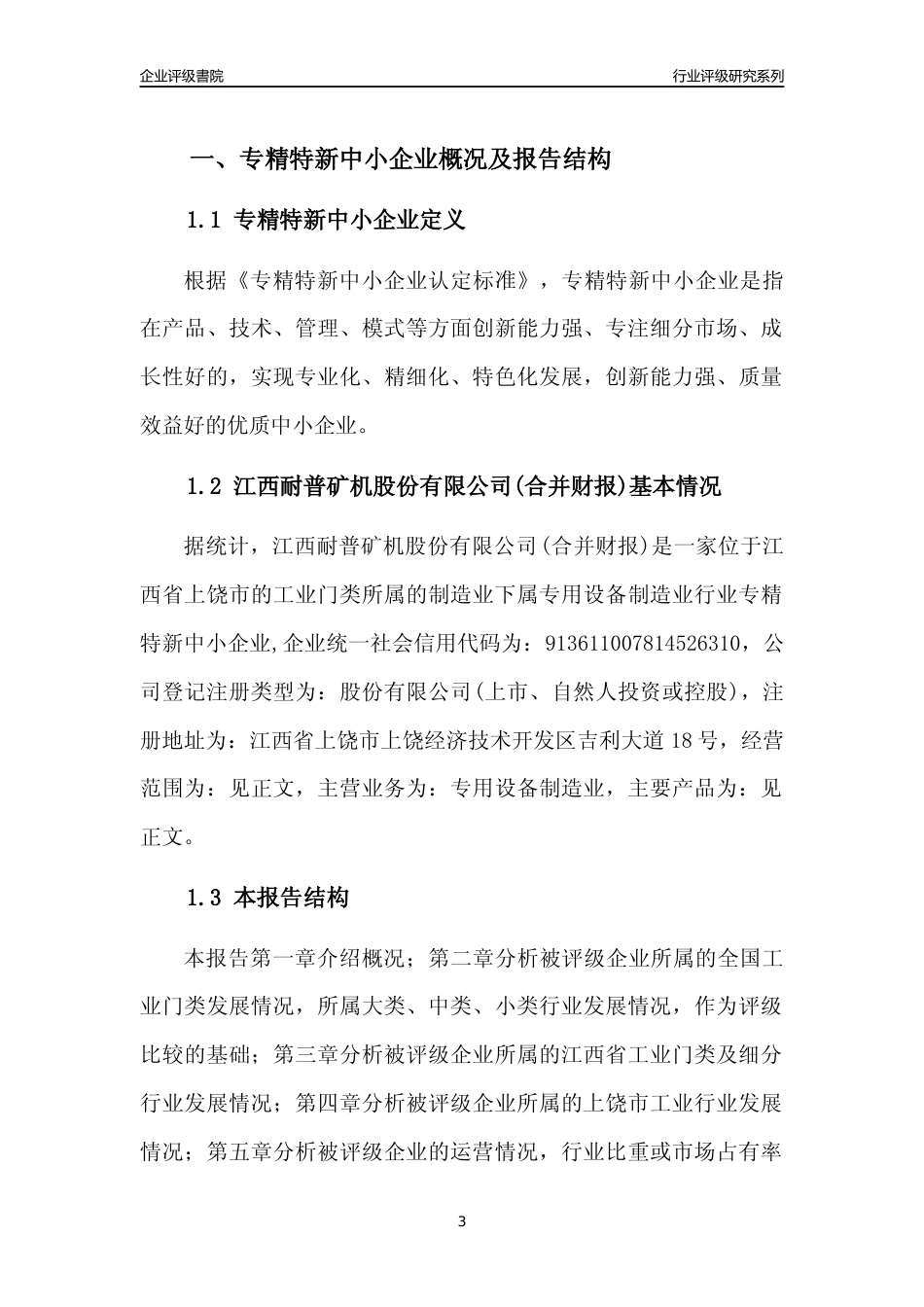 [专精特新]江西耐普矿机股份有限公司(合并财报)行业竞争力评级分析报告(2023版)_第3页
