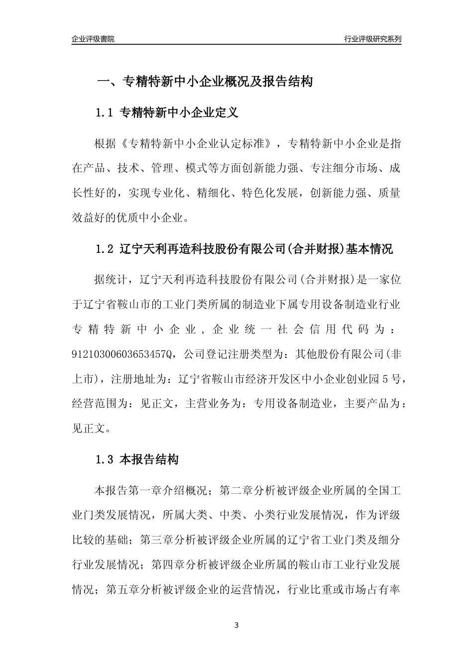 [专精特新]辽宁天利再造科技股份有限公司(合并财报)行业竞争力评级分析报告(2023版)_第3页