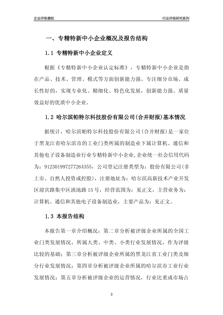 [专精特新]哈尔滨帕特尔科技股份有限公司(合并财报)行业竞争力评级分析报告(2023版)_第3页