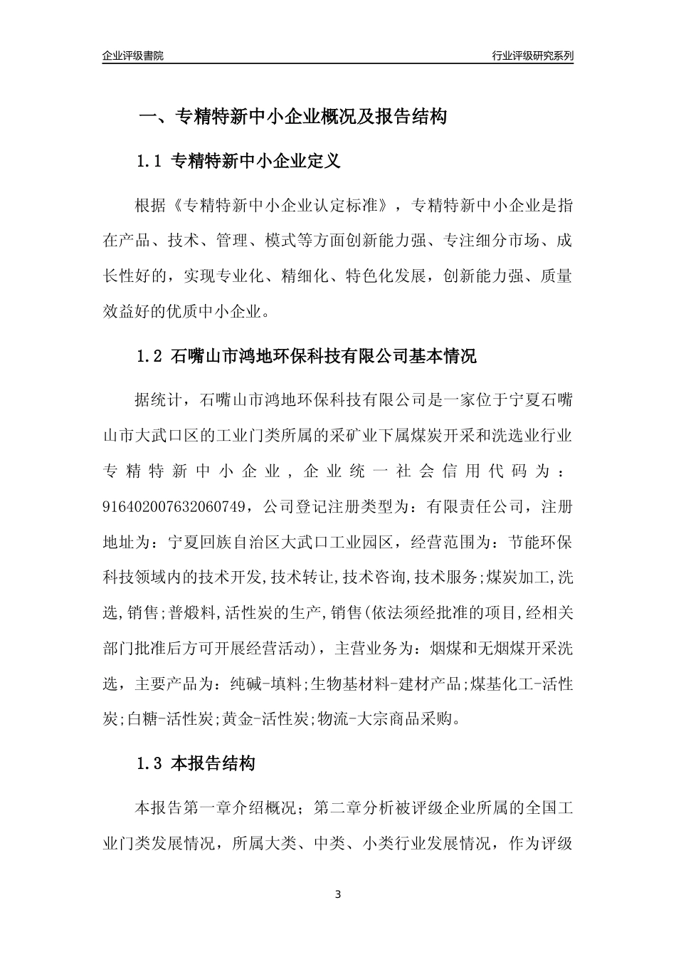 [专精特新]石嘴山市鸿地环保科技有限公司行业竞争力评级分析报告(2023版)_第3页