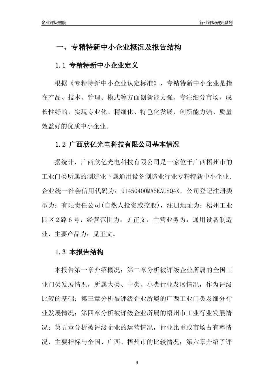 [专精特新]广西欣亿光电科技有限公司行业竞争力评级分析报告(2023版)_第3页