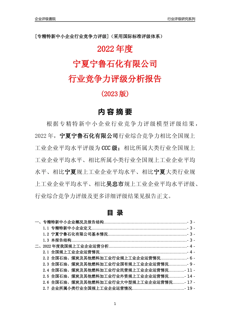 [专精特新]宁夏宁鲁石化有限公司行业竞争力评级分析报告(2023版)_第1页