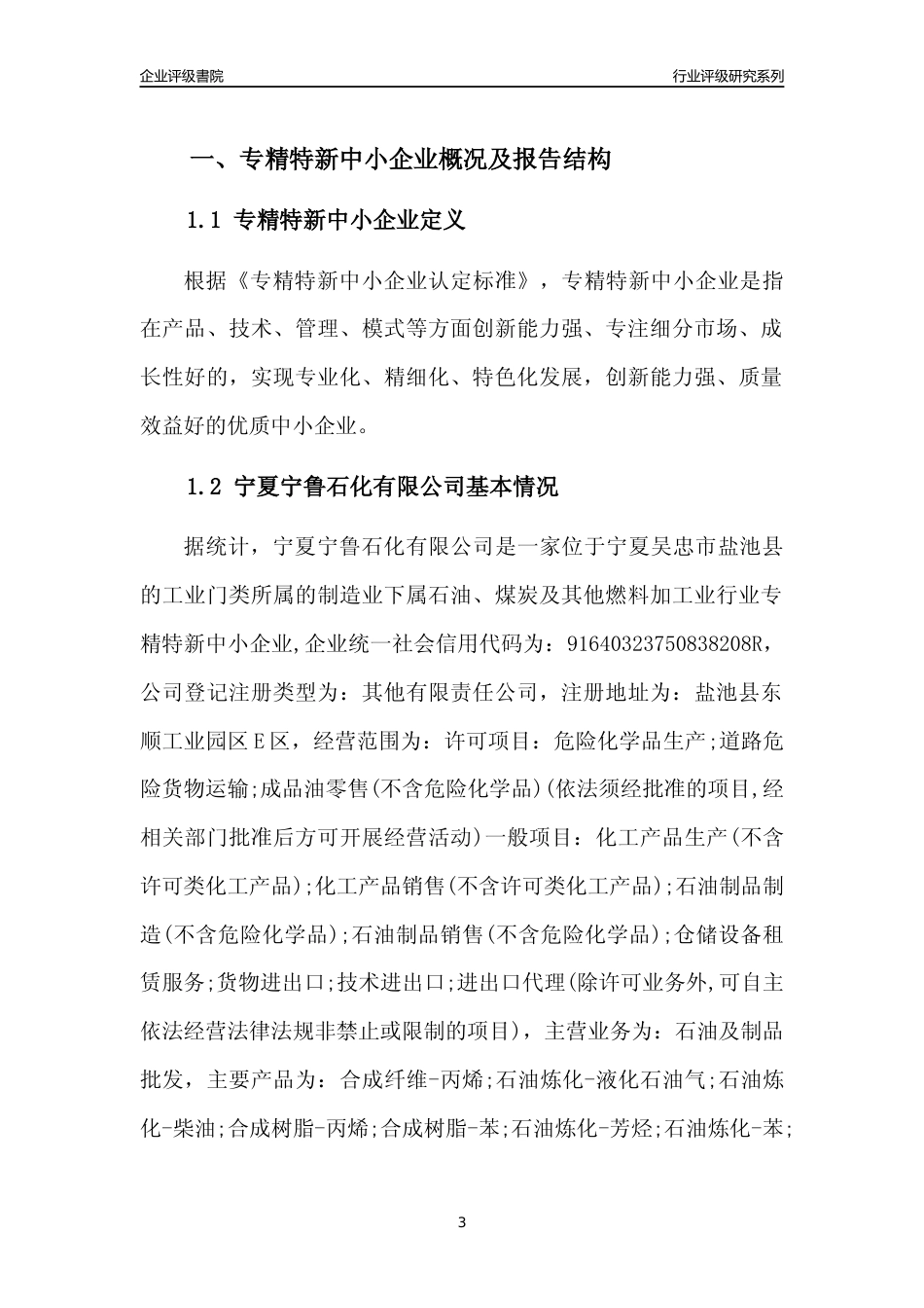 [专精特新]宁夏宁鲁石化有限公司行业竞争力评级分析报告(2023版)_第3页