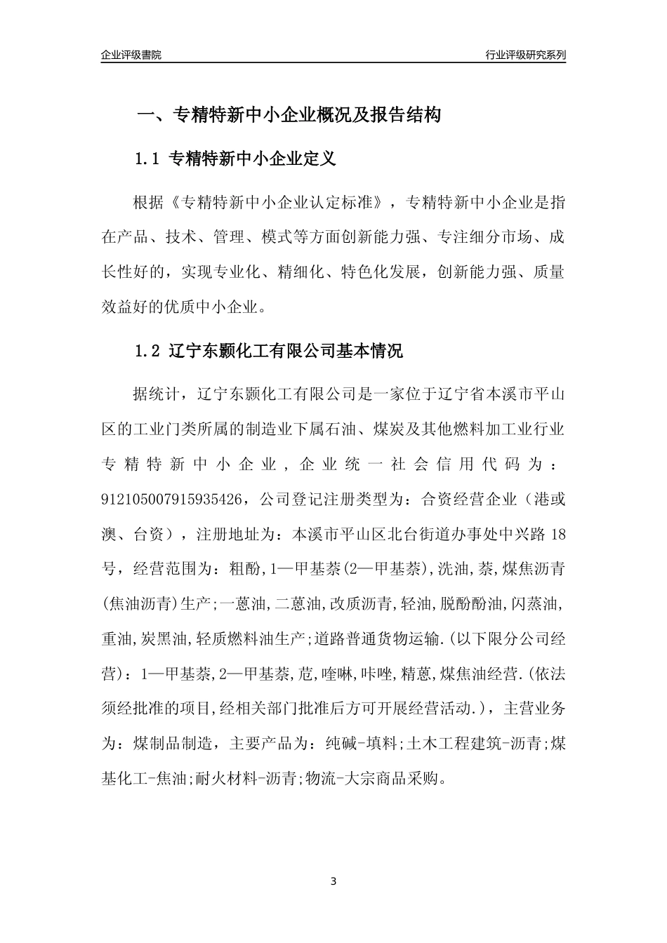[专精特新]辽宁东颢化工有限公司行业竞争力评级分析报告(2023版)_第3页