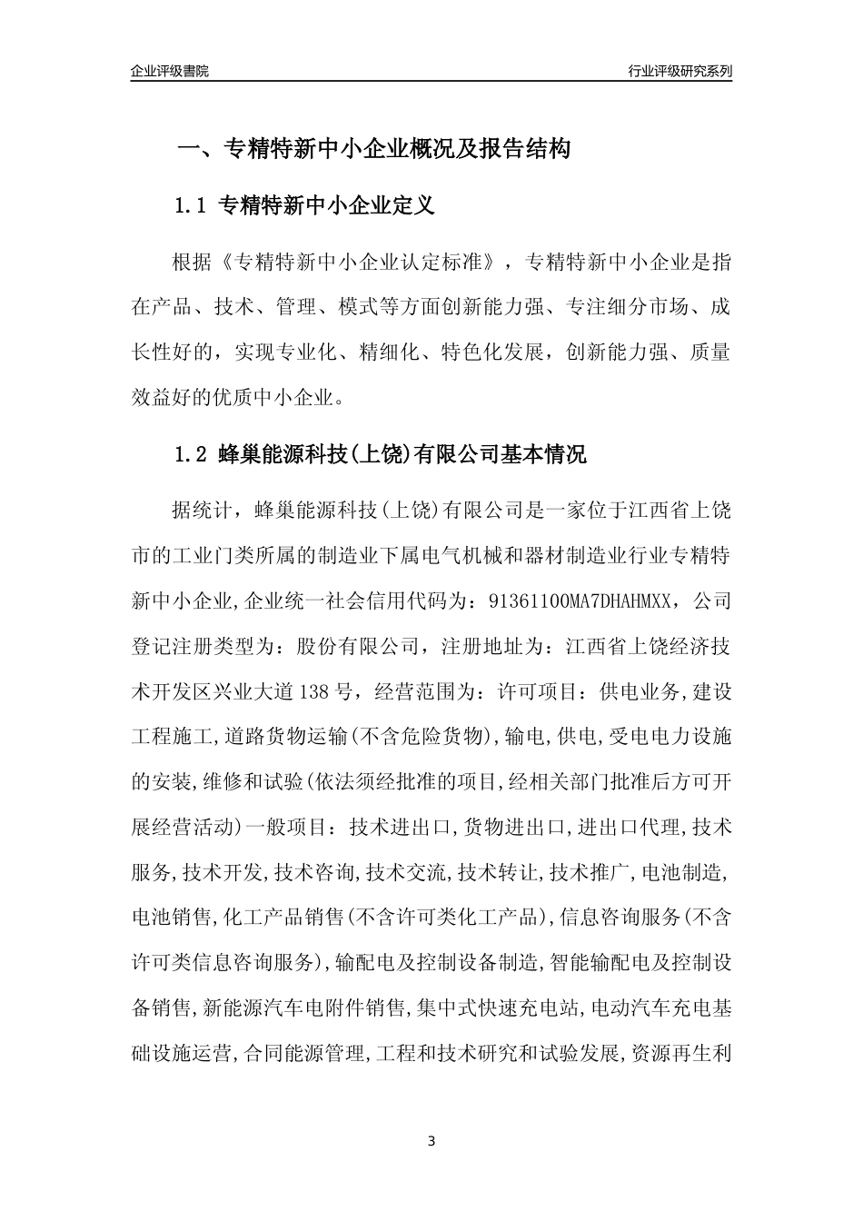 [专精特新]蜂巢能源科技(上饶)有限公司行业竞争力评级分析报告(2023版)_第3页