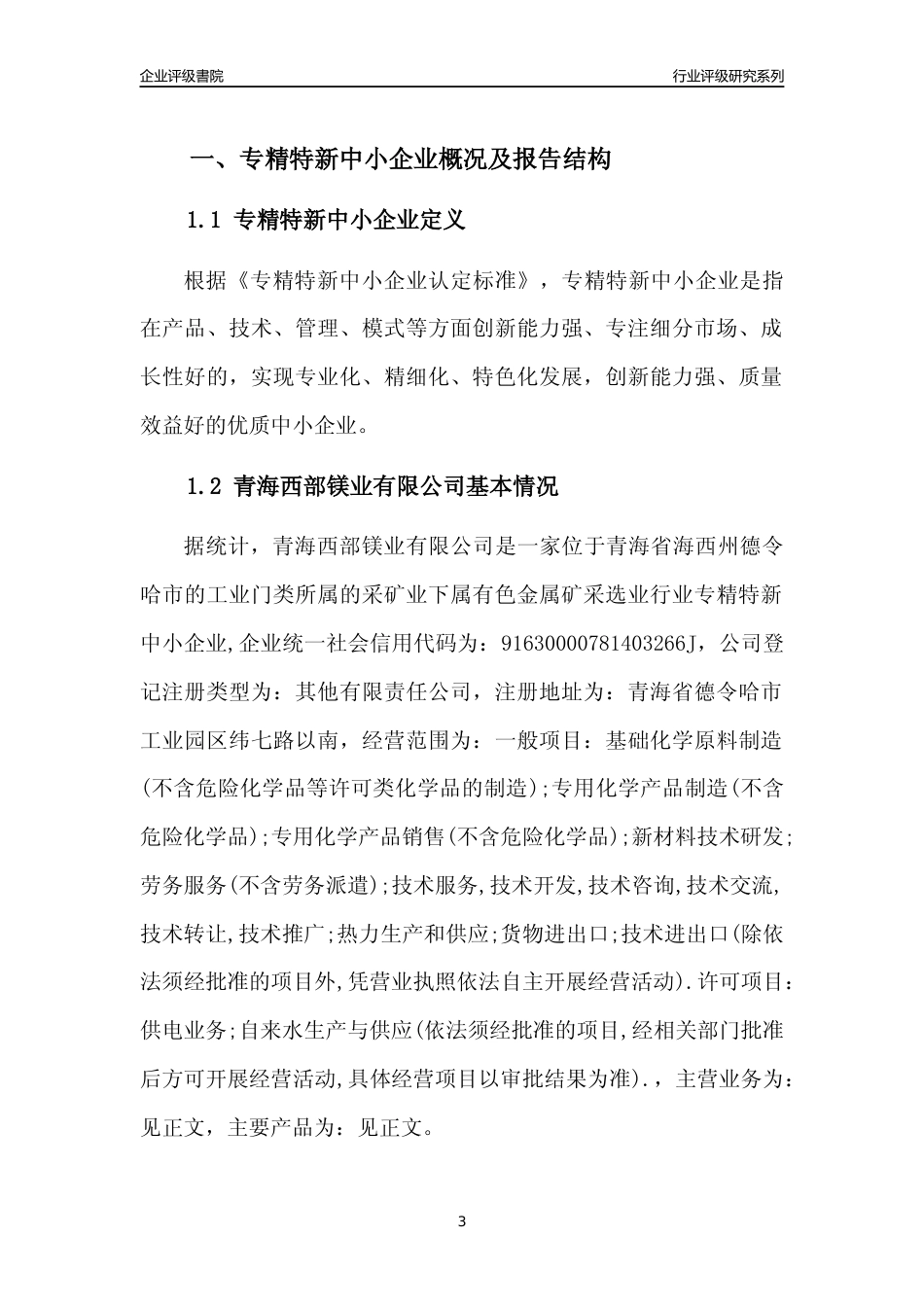 [专精特新]青海西部镁业有限公司行业竞争力评级分析报告(2023版)_第3页