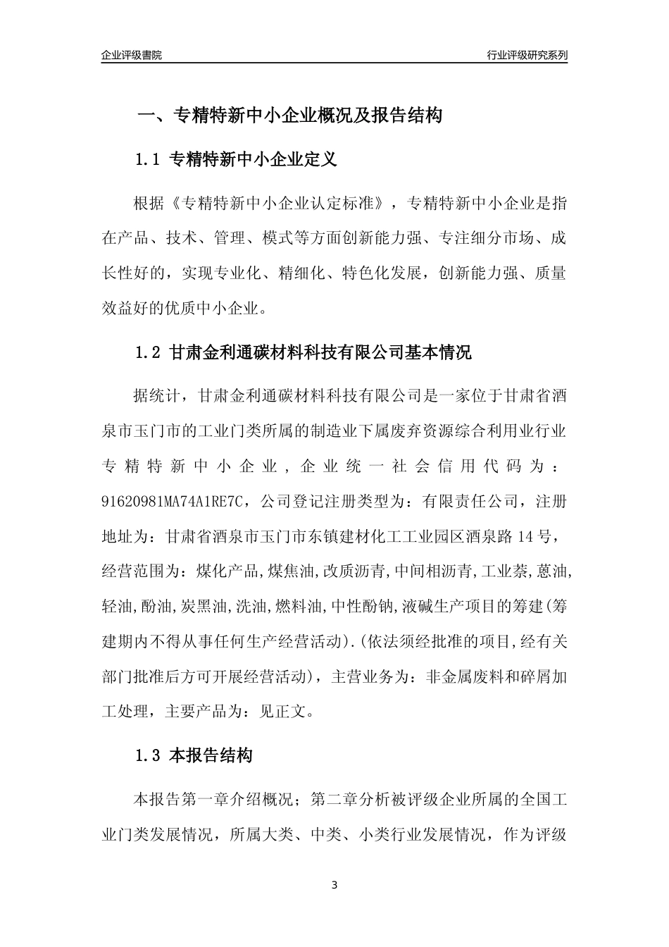 [专精特新]甘肃金利通碳材料科技有限公司行业竞争力评级分析报告(2023版)_第3页