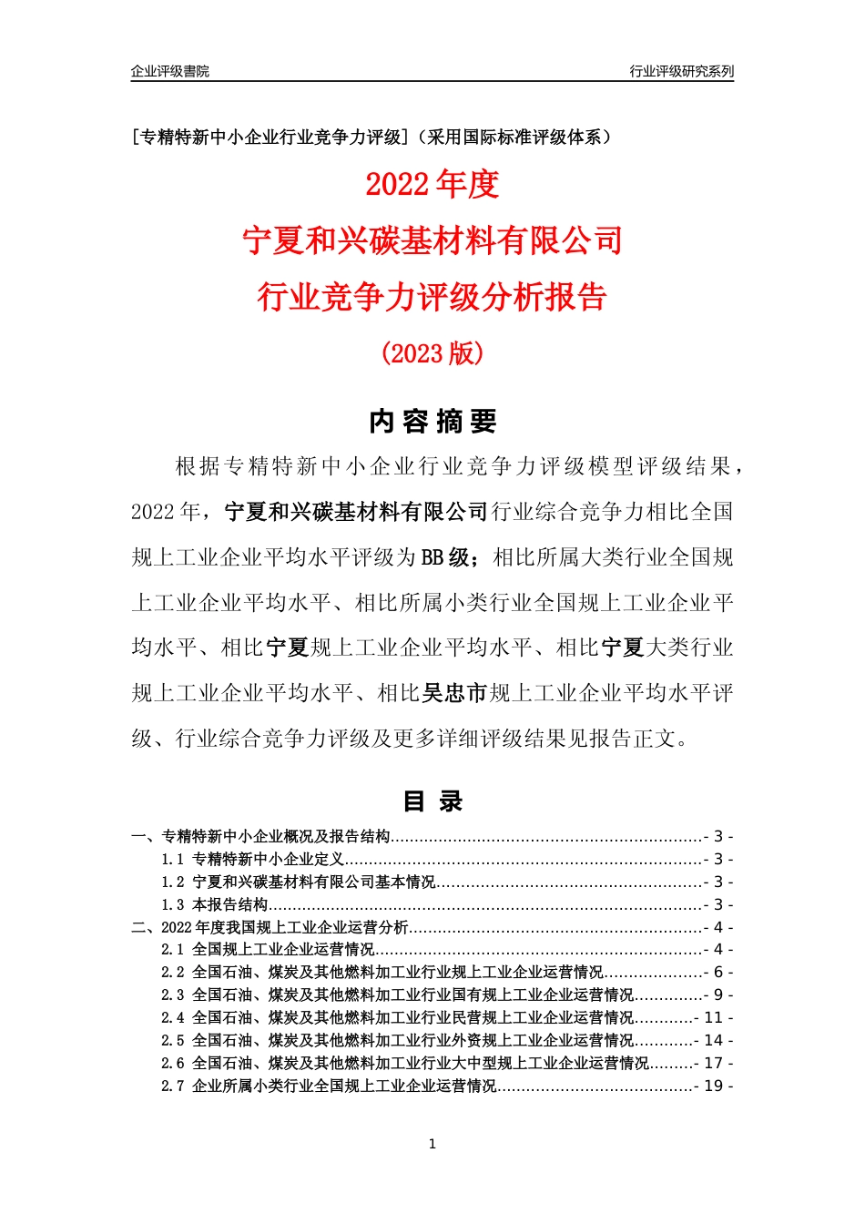 [专精特新]宁夏和兴碳基材料有限公司行业竞争力评级分析报告(2023版)_第1页