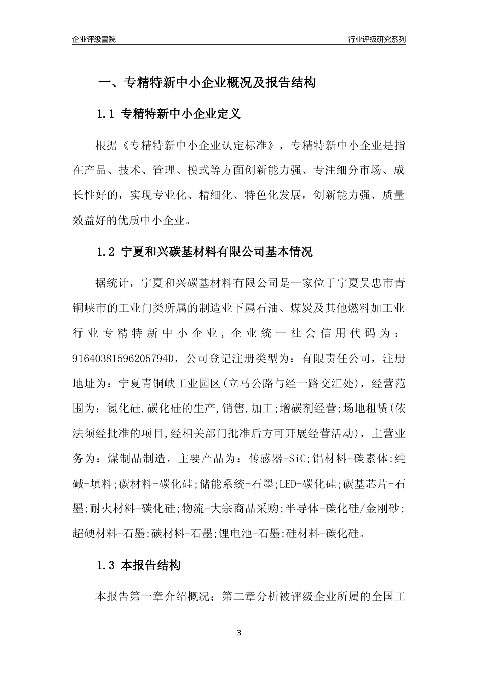 [专精特新]宁夏和兴碳基材料有限公司行业竞争力评级分析报告(2023版)_第3页