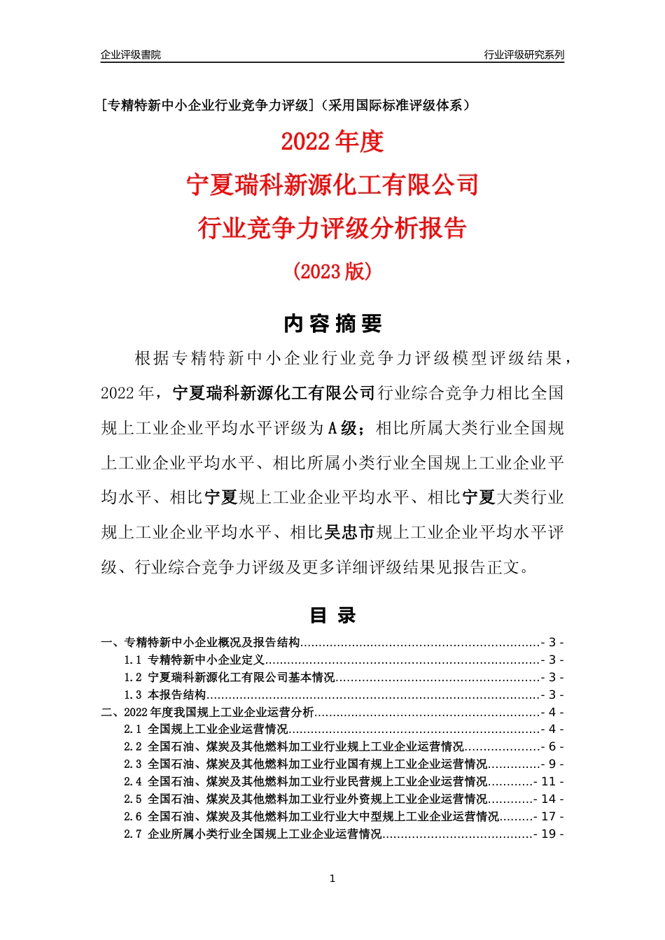 [专精特新]宁夏瑞科新源化工有限公司行业竞争力评级分析报告(2023版)_第1页