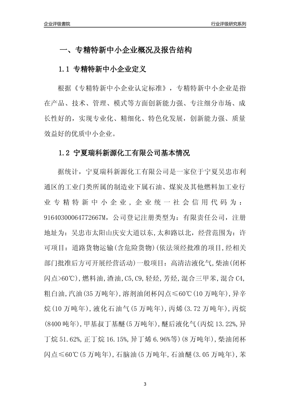 [专精特新]宁夏瑞科新源化工有限公司行业竞争力评级分析报告(2023版)_第3页