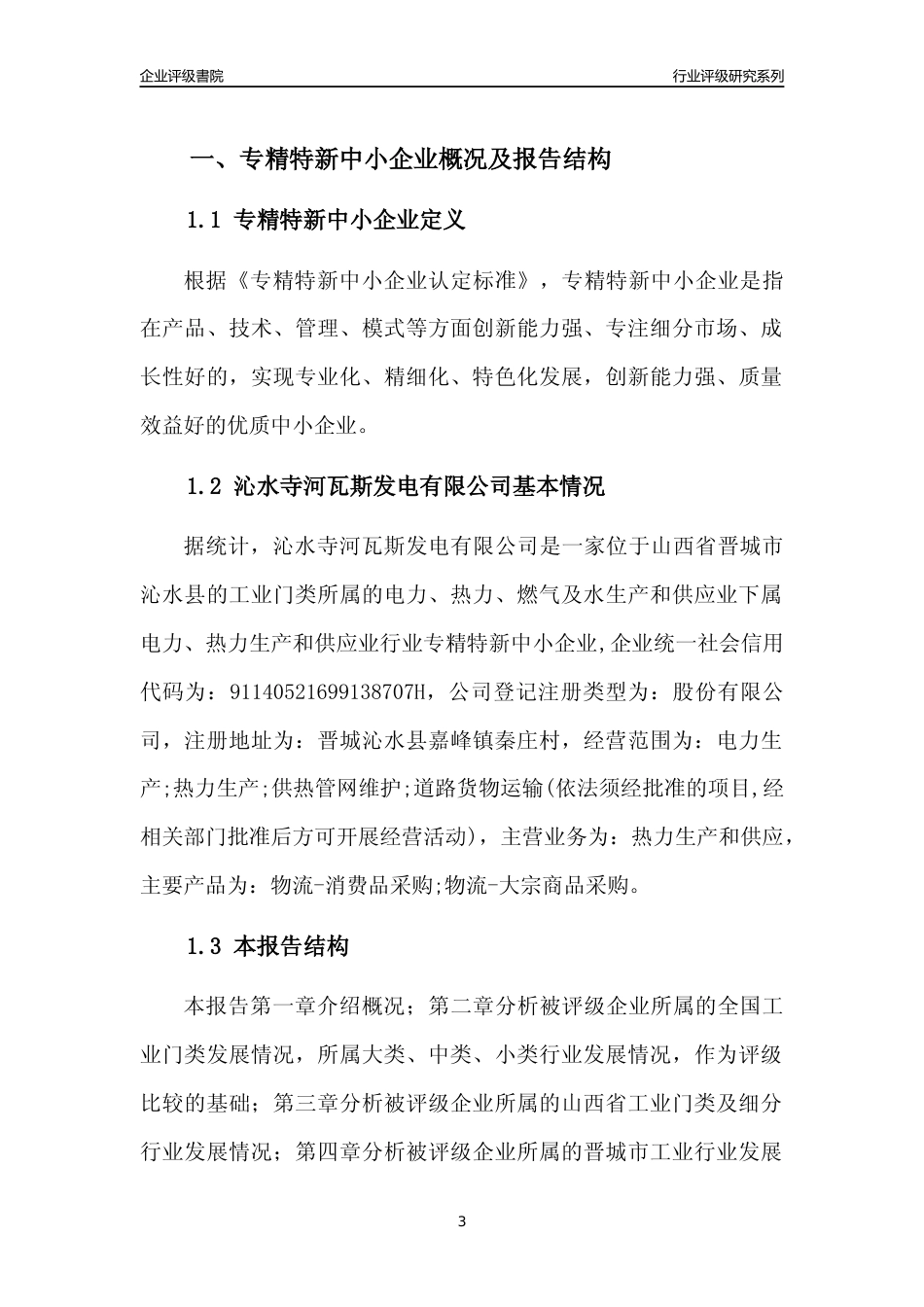 [专精特新]沁水寺河瓦斯发电有限公司行业竞争力评级分析报告(2023版)_第3页