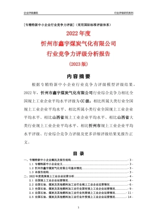 [专精特新]忻州市鑫宇煤炭气化有限公司行业竞争力评级分析报告(2023版)