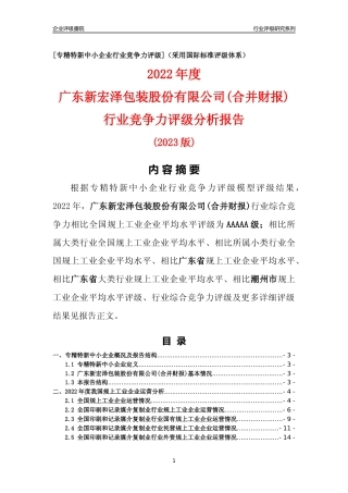 [专精特新]广东新宏泽包装股份有限公司(合并财报)行业竞争力评级分析报告(2023版)