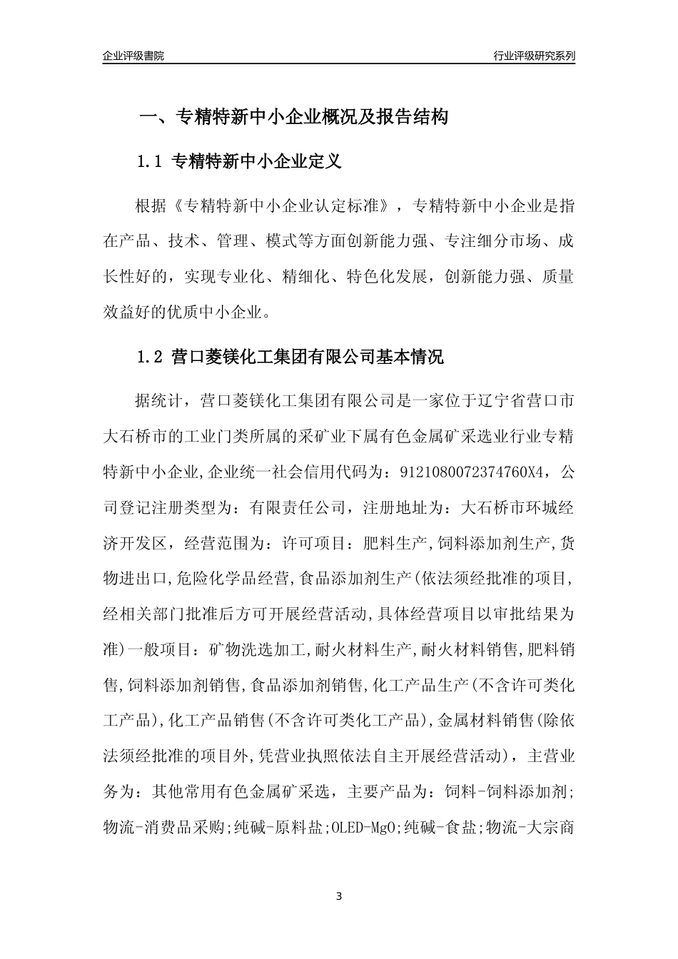 [专精特新]营口菱镁化工集团有限公司行业竞争力评级分析报告(2023版)_第3页