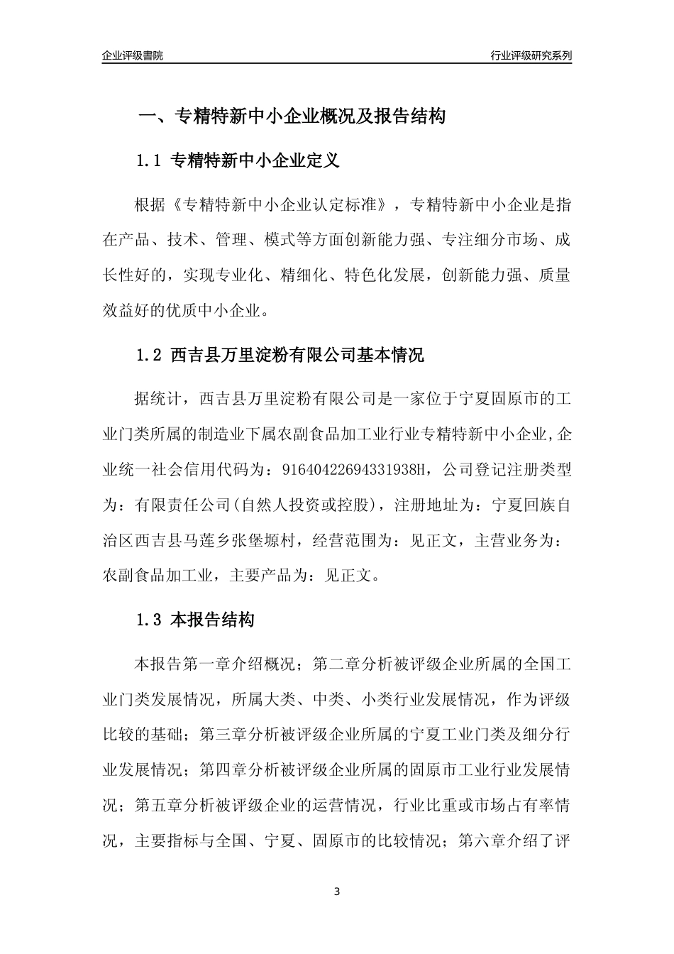 [专精特新]西吉县万里淀粉有限公司行业竞争力评级分析报告(2023版)_第3页