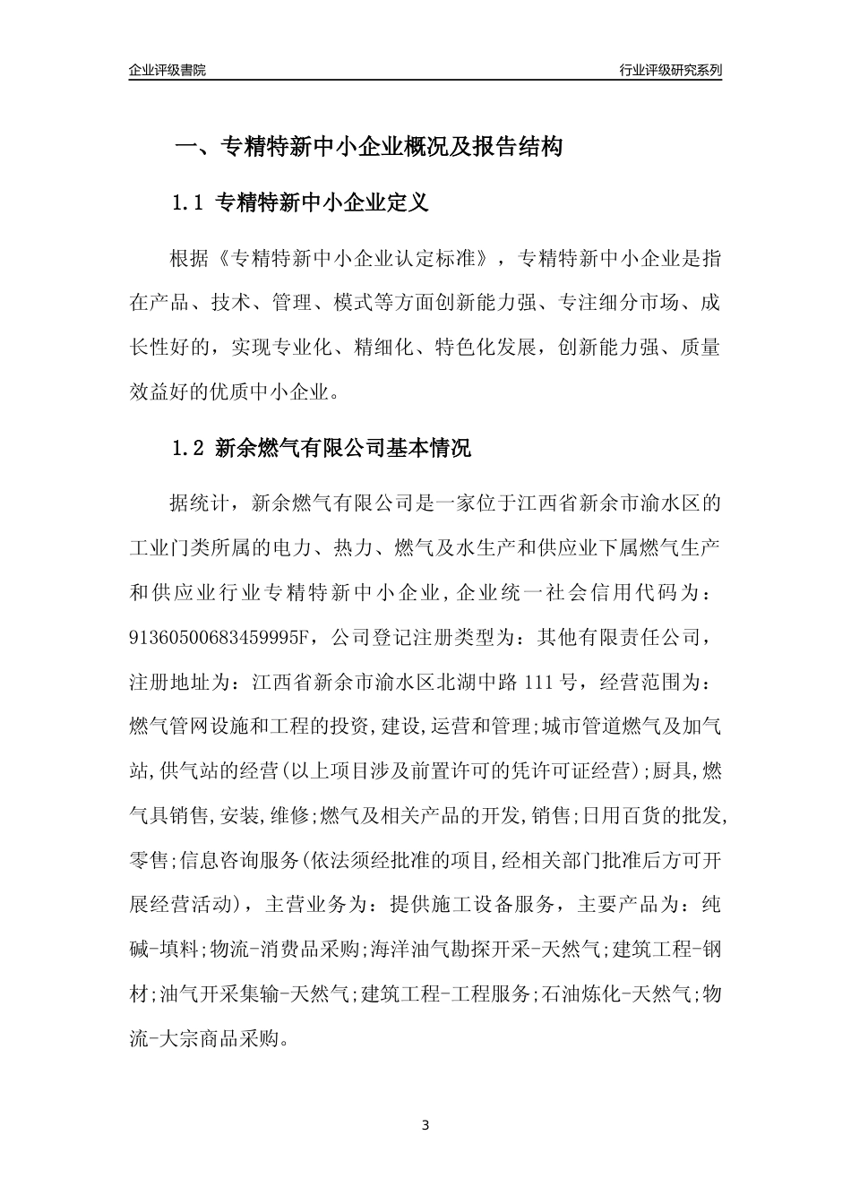 [专精特新]新余燃气有限公司行业竞争力评级分析报告(2023版)_第3页