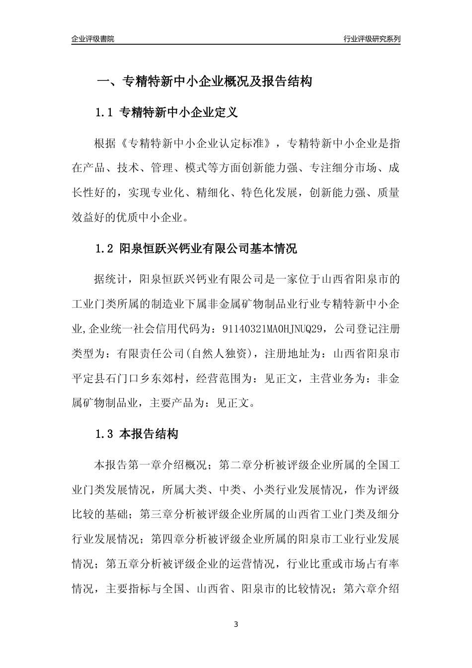 [专精特新]阳泉恒跃兴钙业有限公司行业竞争力评级分析报告(2023版)_第3页