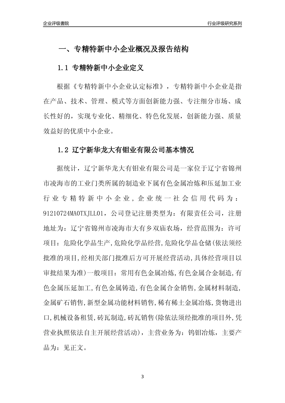 [专精特新]辽宁新华龙大有钼业有限公司行业竞争力评级分析报告(2023版)_第3页