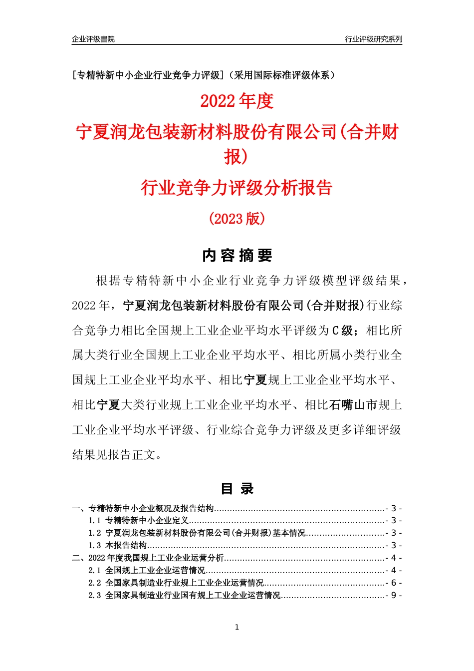 [专精特新]宁夏润龙包装新材料股份有限公司(合并财报)行业竞争力评级分析报告(2023版)_第1页