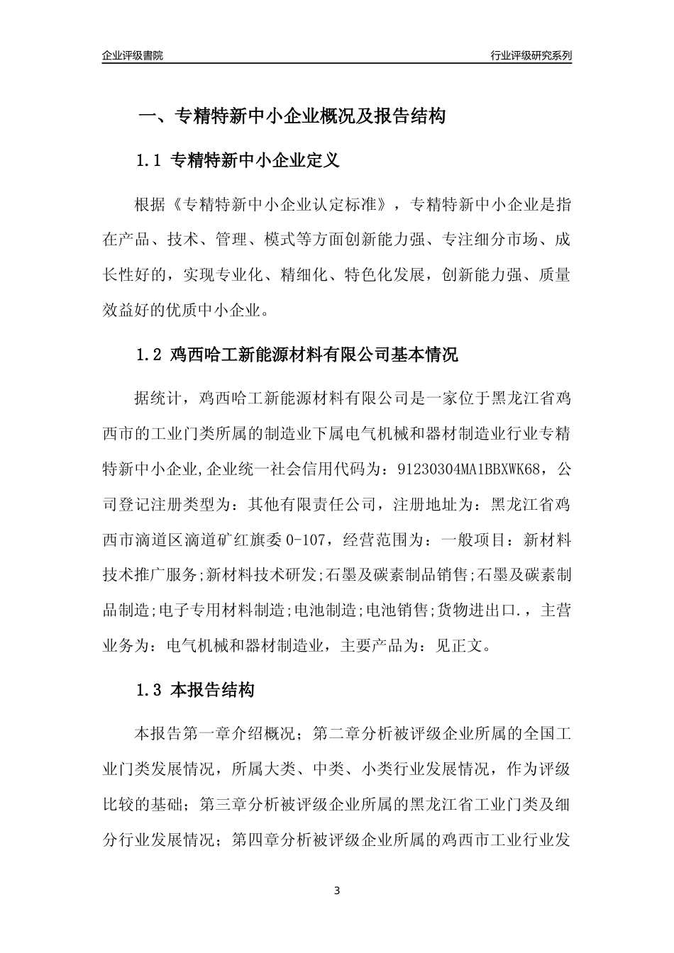 [专精特新]鸡西哈工新能源材料有限公司行业竞争力评级分析报告(2023版)_第3页