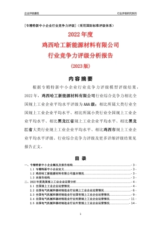 [专精特新]鸡西哈工新能源材料有限公司行业竞争力评级分析报告(2023版)