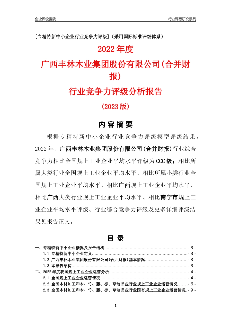 [专精特新]广西丰林木业集团股份有限公司(合并财报)行业竞争力评级分析报告(2023版)_第1页