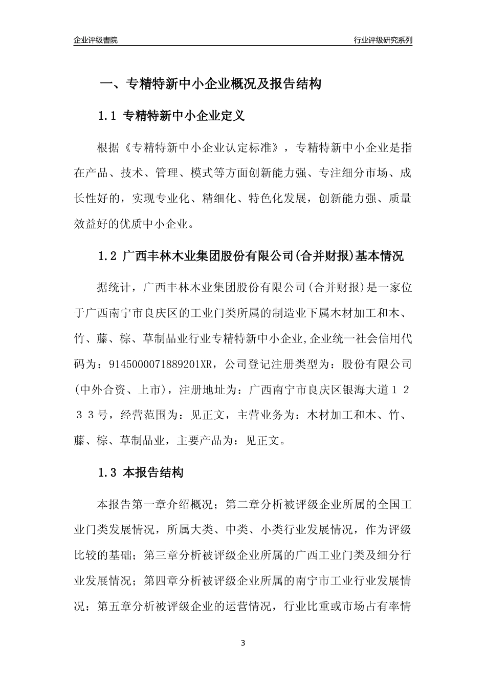[专精特新]广西丰林木业集团股份有限公司(合并财报)行业竞争力评级分析报告(2023版)_第3页