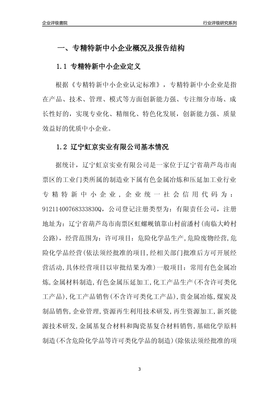 [专精特新]辽宁虹京实业有限公司行业竞争力评级分析报告(2023版)_第3页