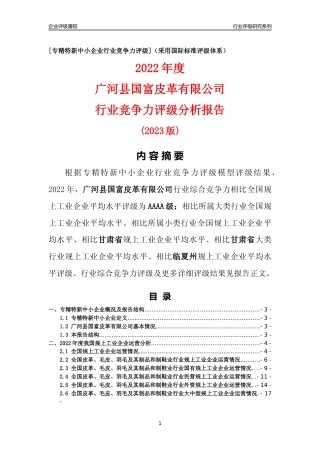 [专精特新]广河县国富皮革有限公司行业竞争力评级分析报告(2023版)