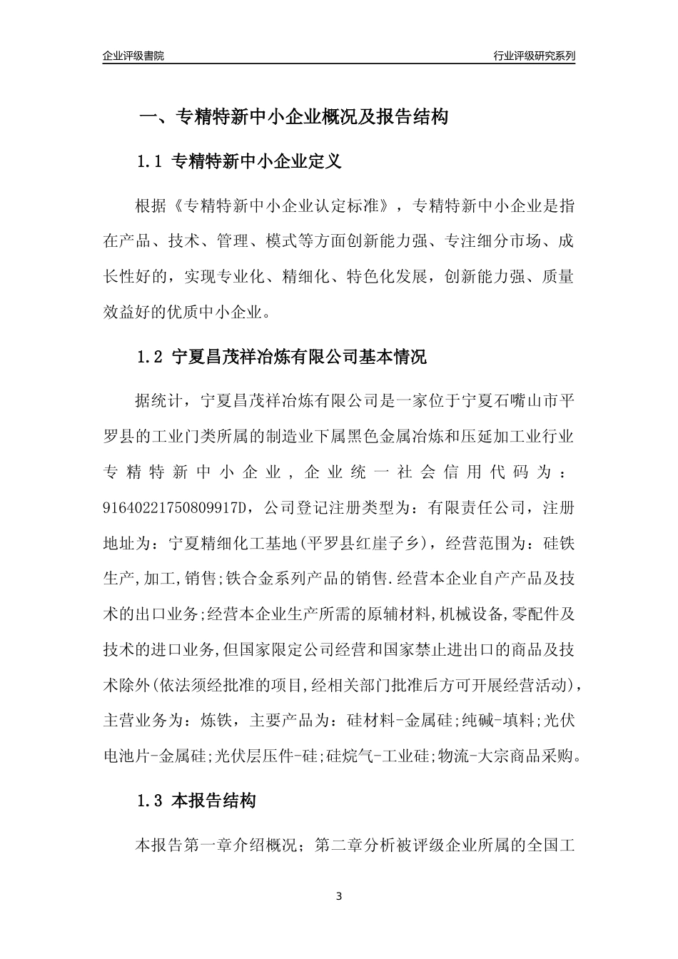 [专精特新]宁夏昌茂祥冶炼有限公司行业竞争力评级分析报告(2023版)_第3页