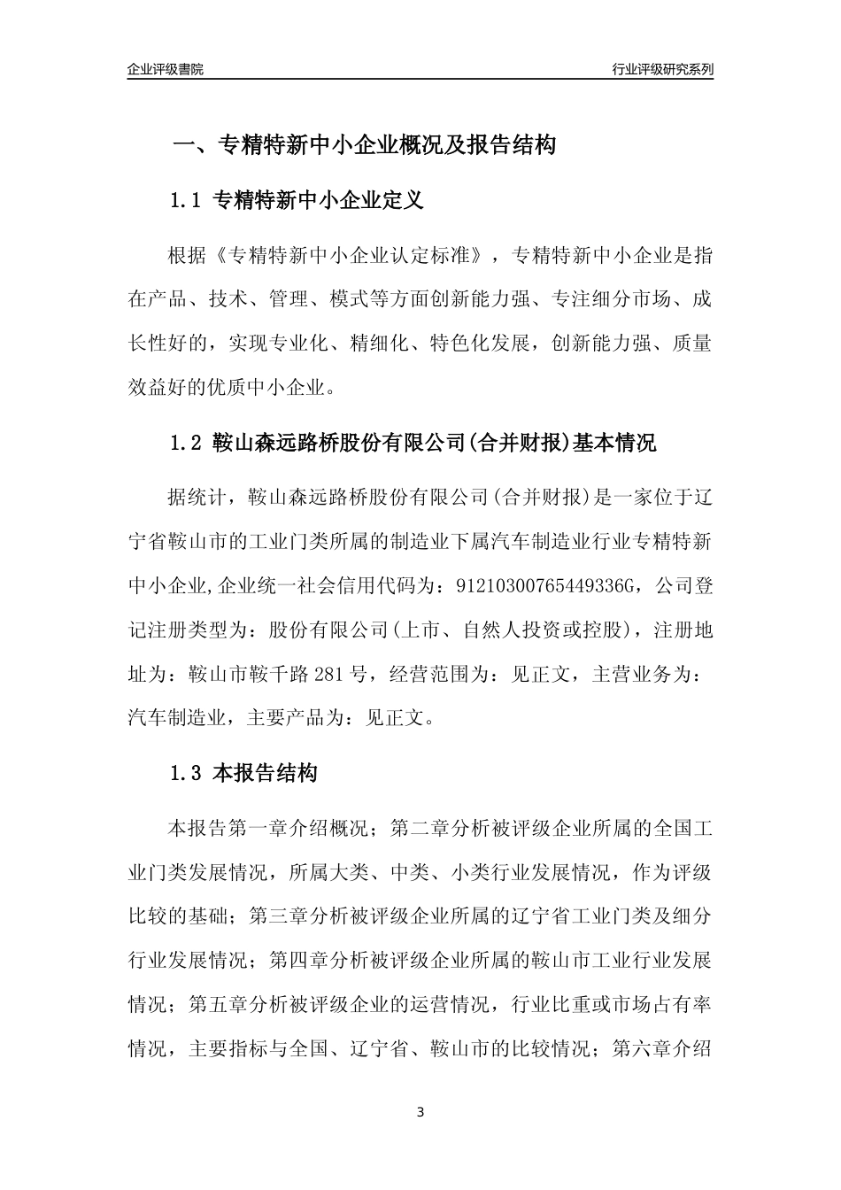 [专精特新]鞍山森远路桥股份有限公司(合并财报)行业竞争力评级分析报告(2023版)_第3页