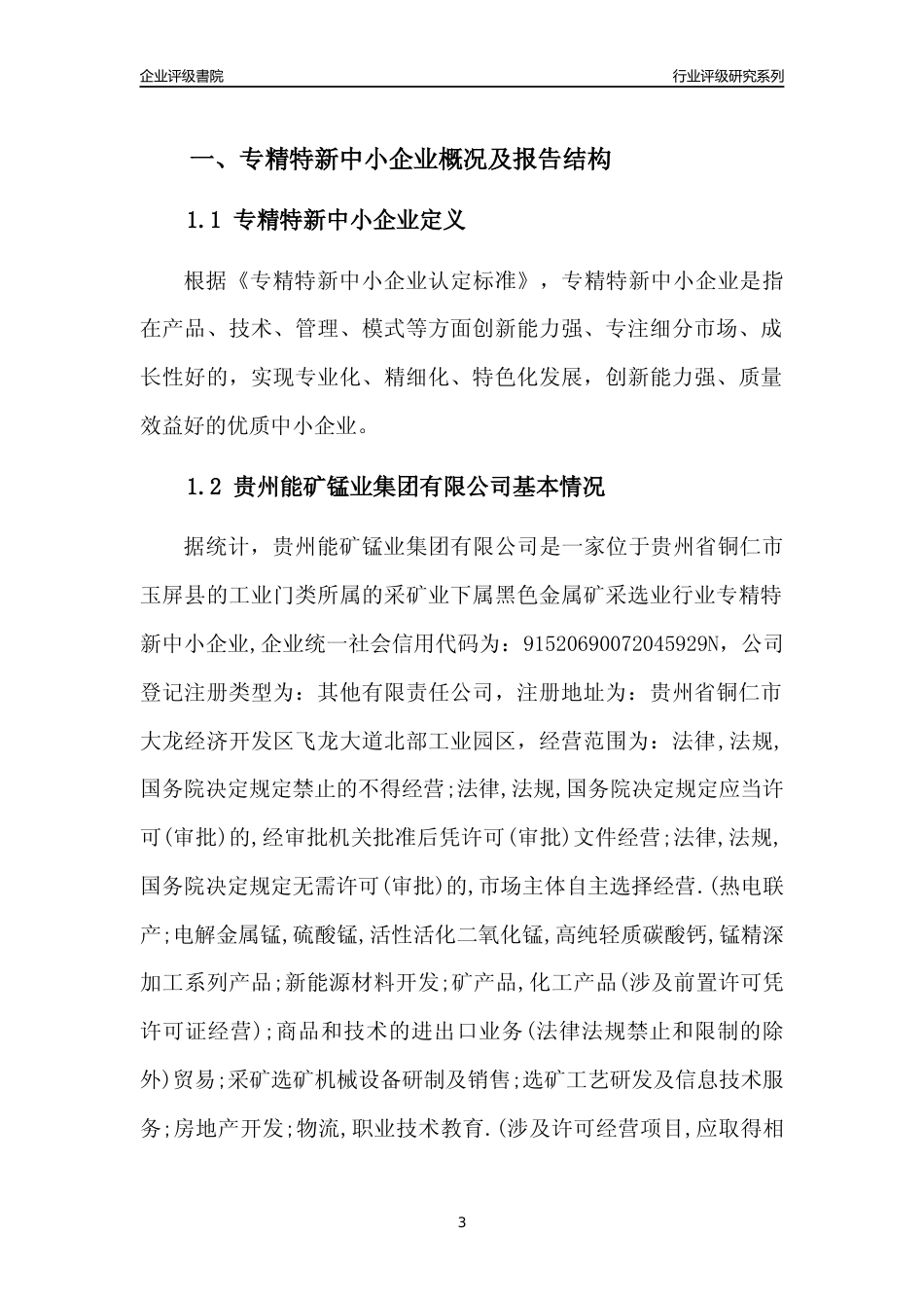 [专精特新]贵州能矿锰业集团有限公司行业竞争力评级分析报告(2023版)_第3页