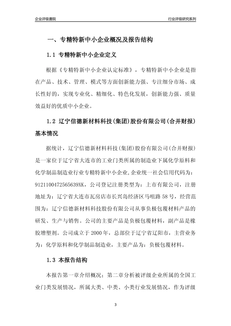 [专精特新]辽宁信德新材料科技(集团)股份有限公司(合并财报)行业竞争力评级分析报告(2023版)_第3页