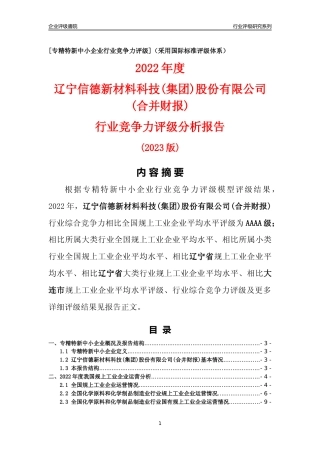 [专精特新]辽宁信德新材料科技(集团)股份有限公司(合并财报)行业竞争力评级分析报告(2023版)