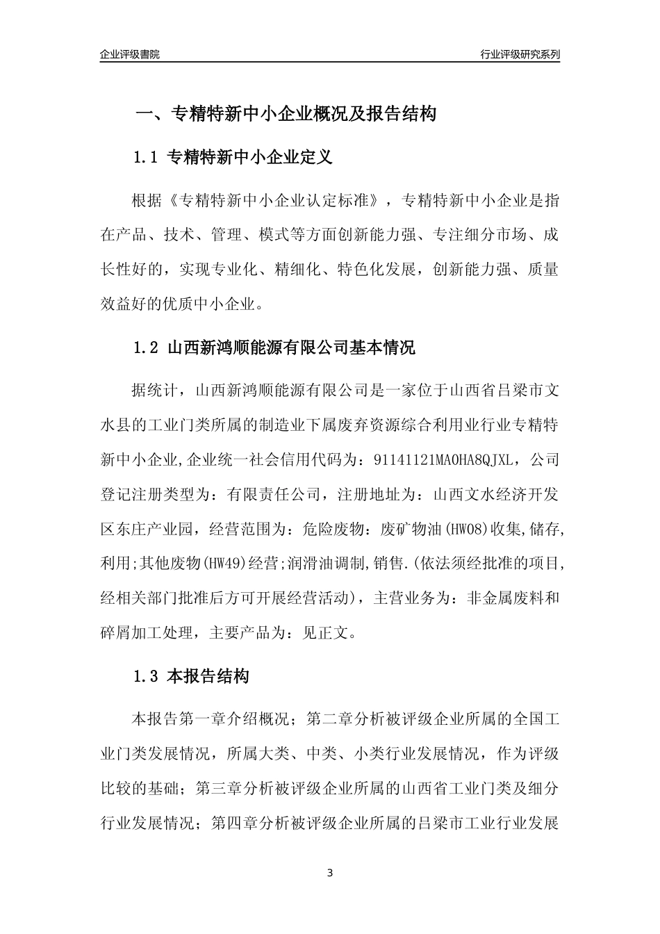 [专精特新]山西新鸿顺能源有限公司行业竞争力评级分析报告(2023版)_第3页