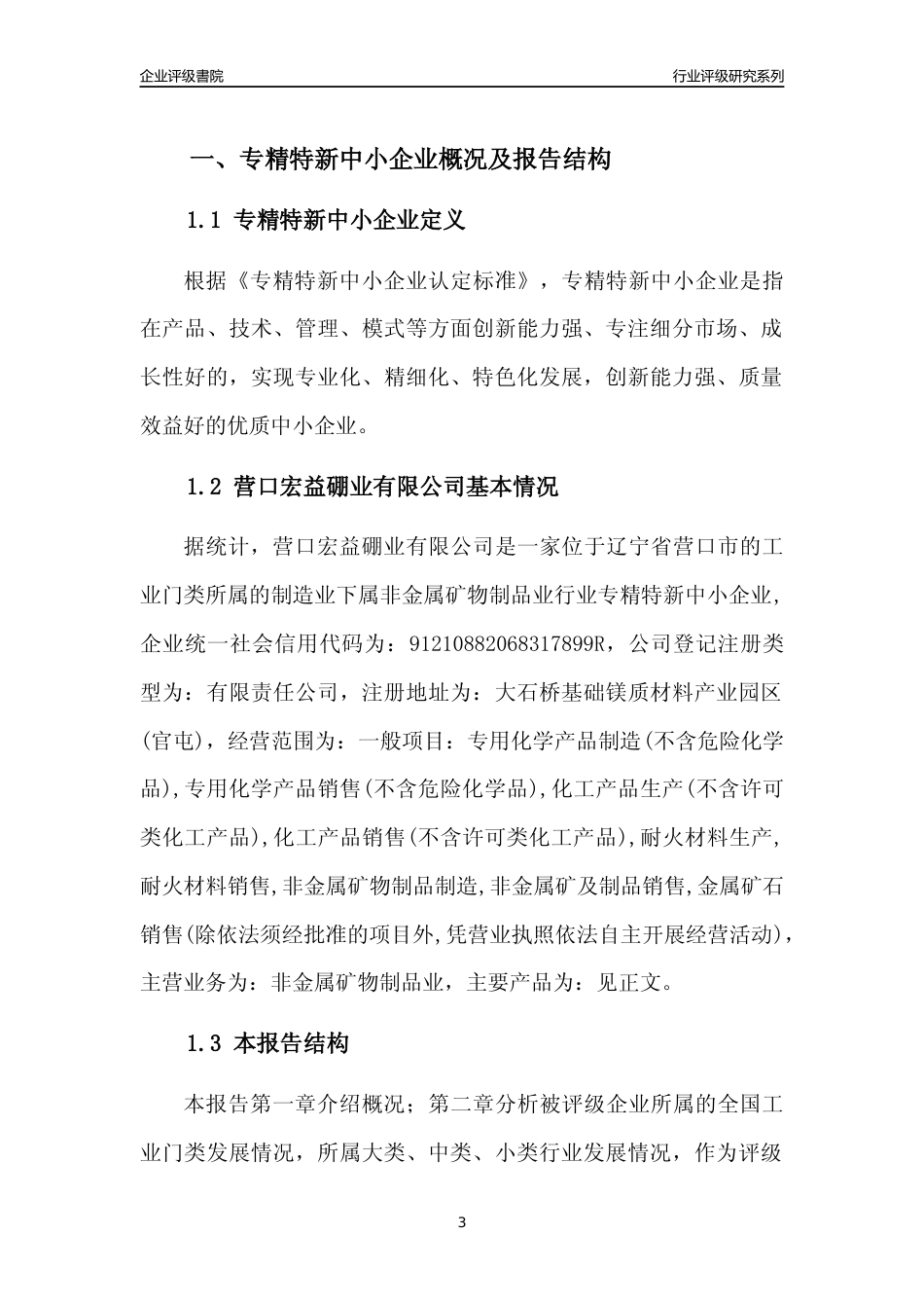 [专精特新]营口宏益硼业有限公司行业竞争力评级分析报告(2023版)_第3页