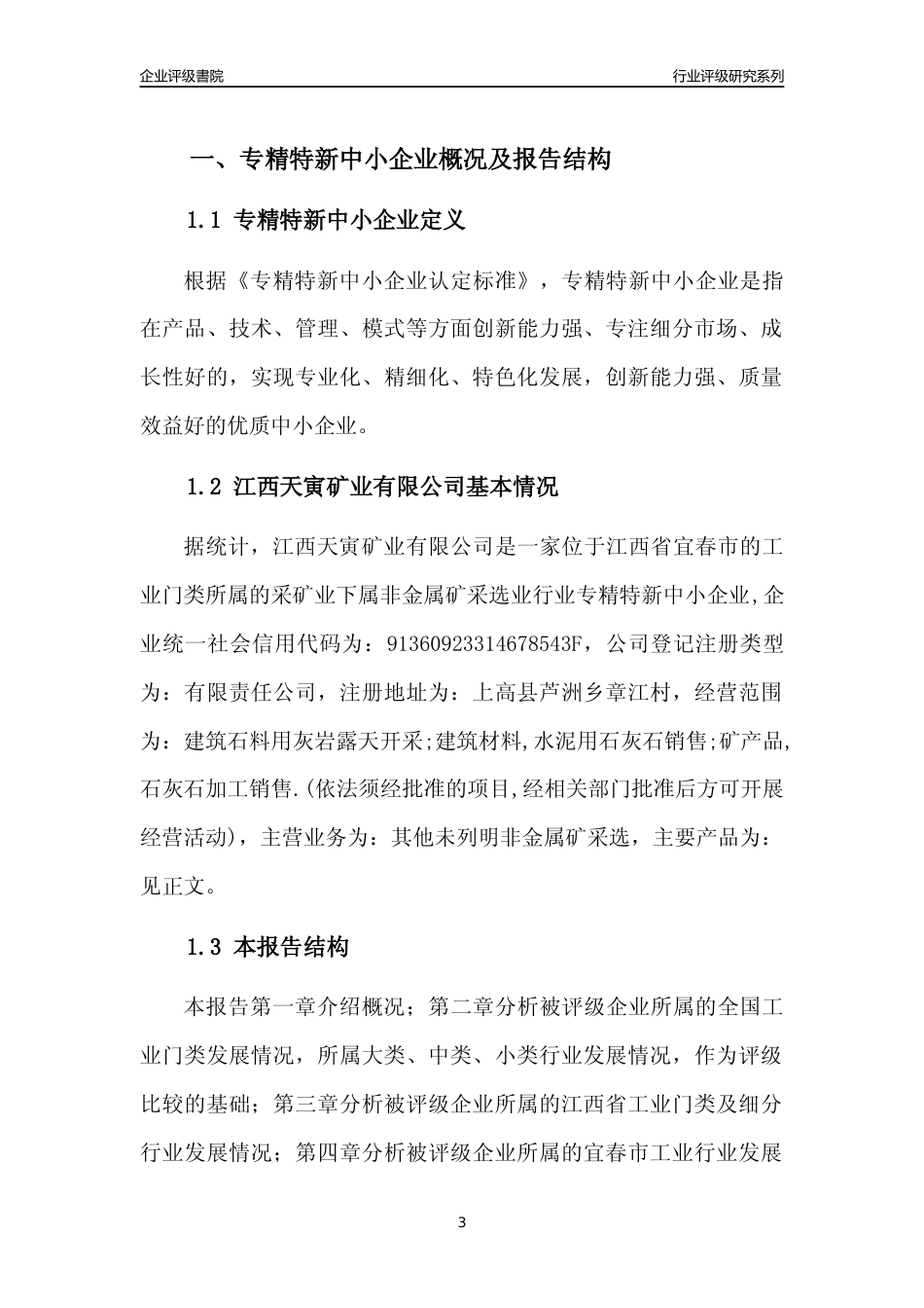 [专精特新]江西天寅矿业有限公司行业竞争力评级分析报告(2023版)_第3页