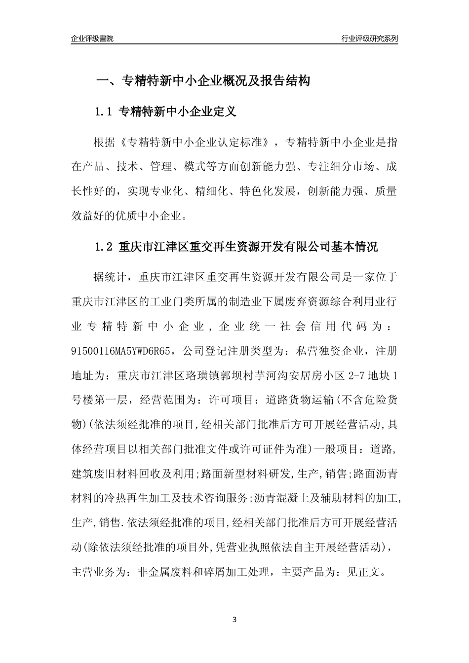 [专精特新]重庆市江津区重交再生资源开发有限公司行业竞争力评级分析报告(2023版)_第3页
