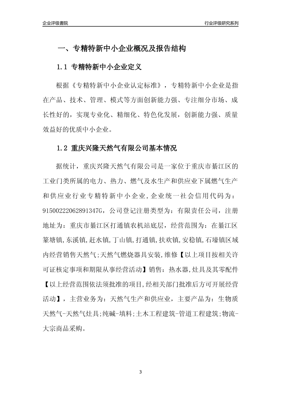 [专精特新]重庆兴隆天然气有限公司行业竞争力评级分析报告(2023版)_第3页