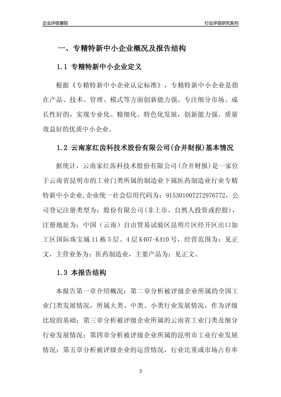 [专精特新]云南家红齿科技术股份有限公司(合并财报)行业竞争力评级分析报告(2023版)_第3页