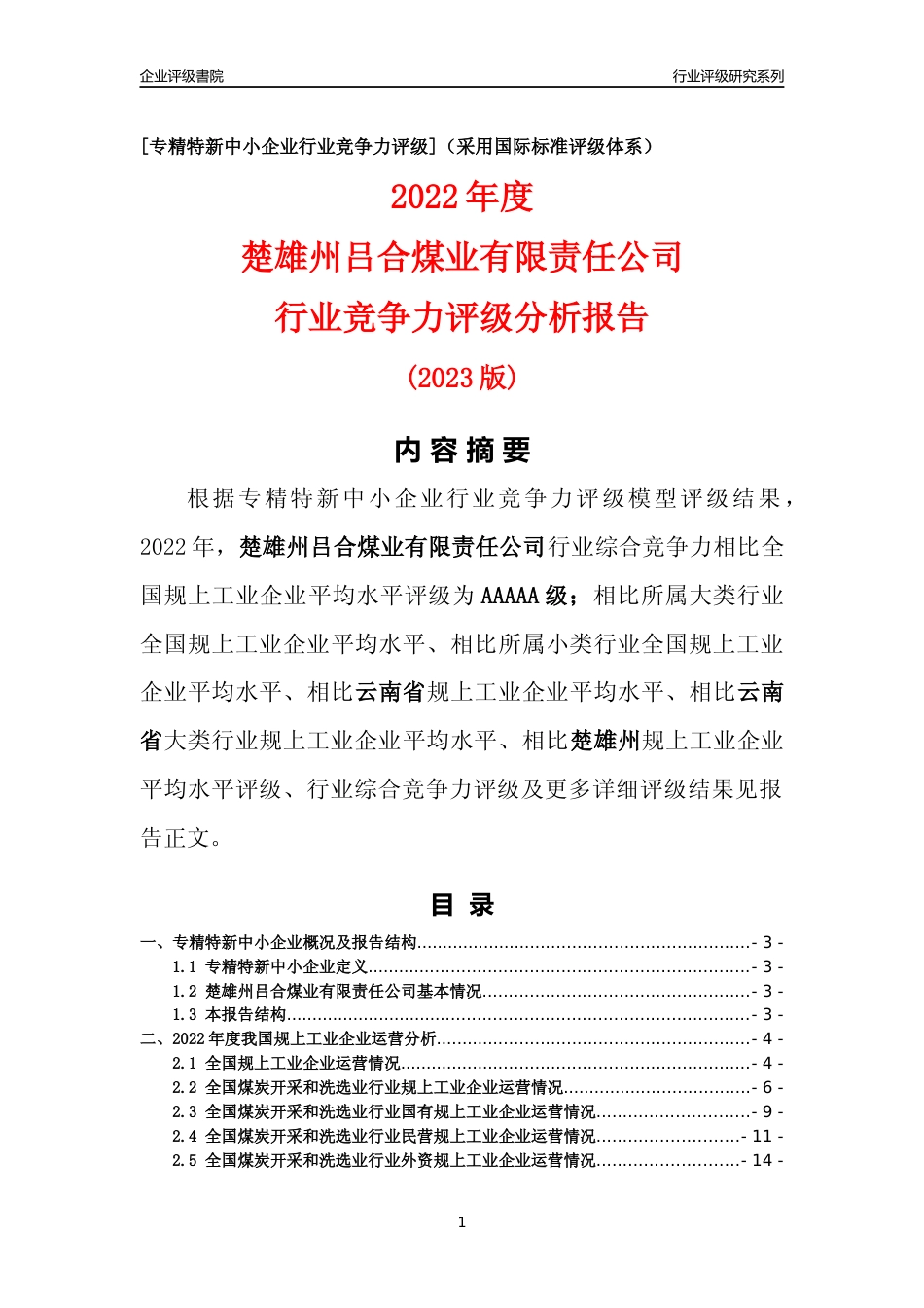 [专精特新]楚雄州吕合煤业有限责任公司行业竞争力评级分析报告(2023版)_第1页