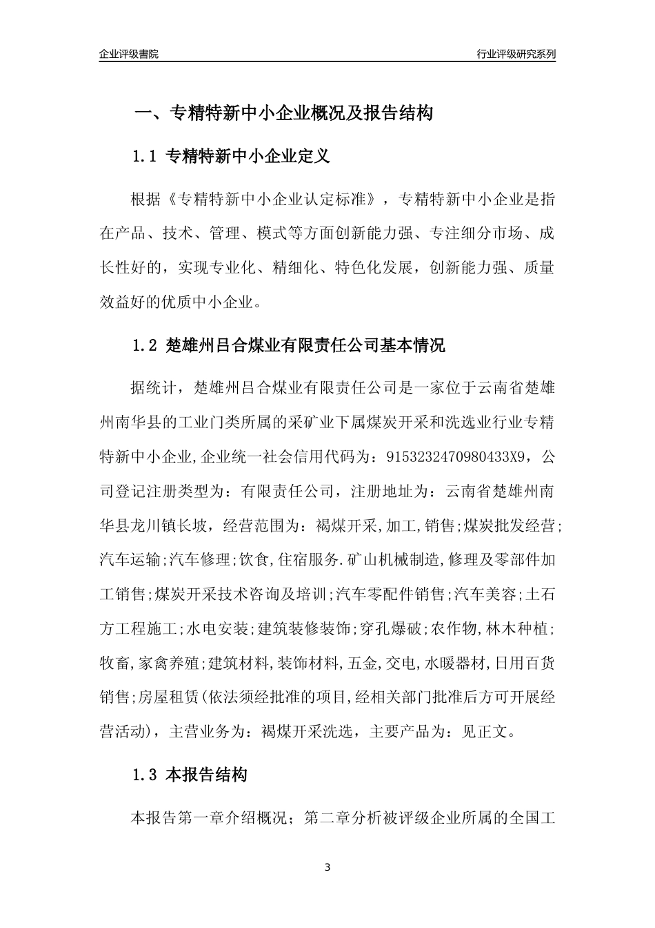 [专精特新]楚雄州吕合煤业有限责任公司行业竞争力评级分析报告(2023版)_第3页