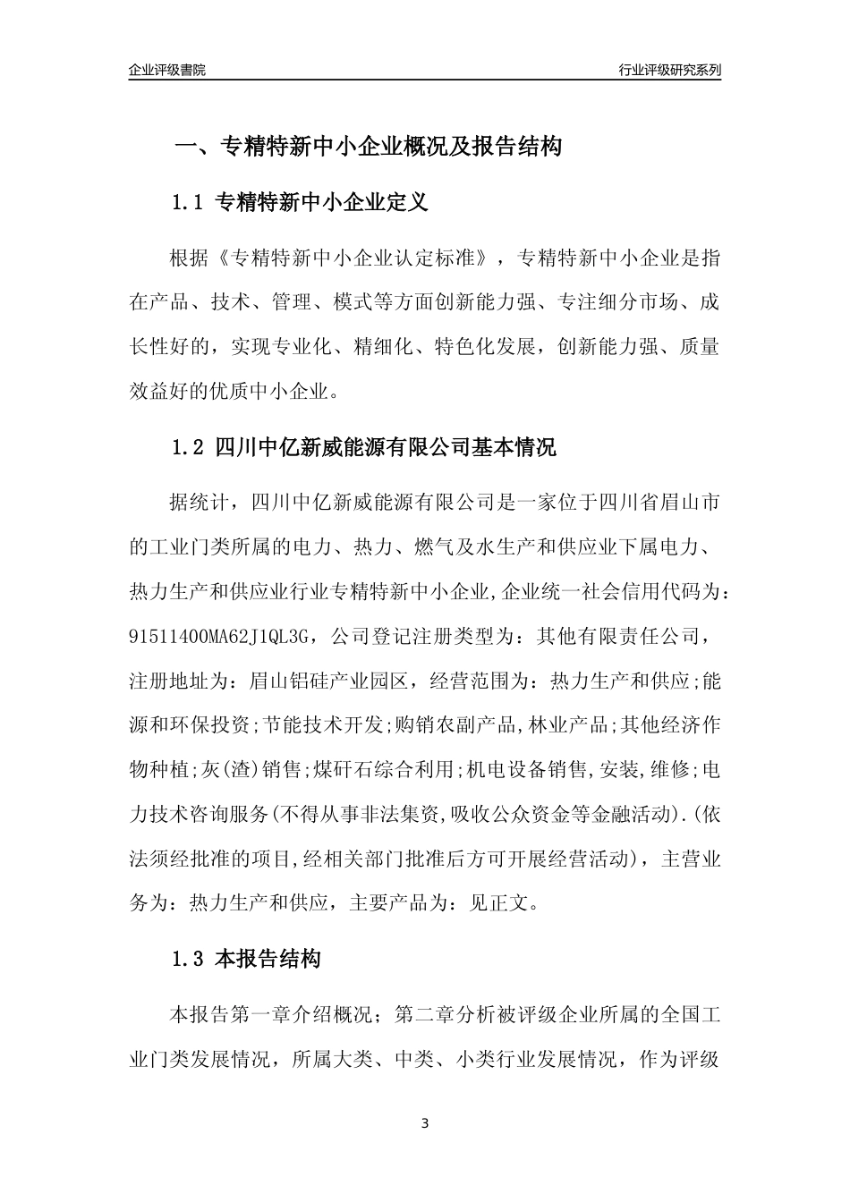 [专精特新]四川中亿新威能源有限公司行业竞争力评级分析报告(2023版)_第3页