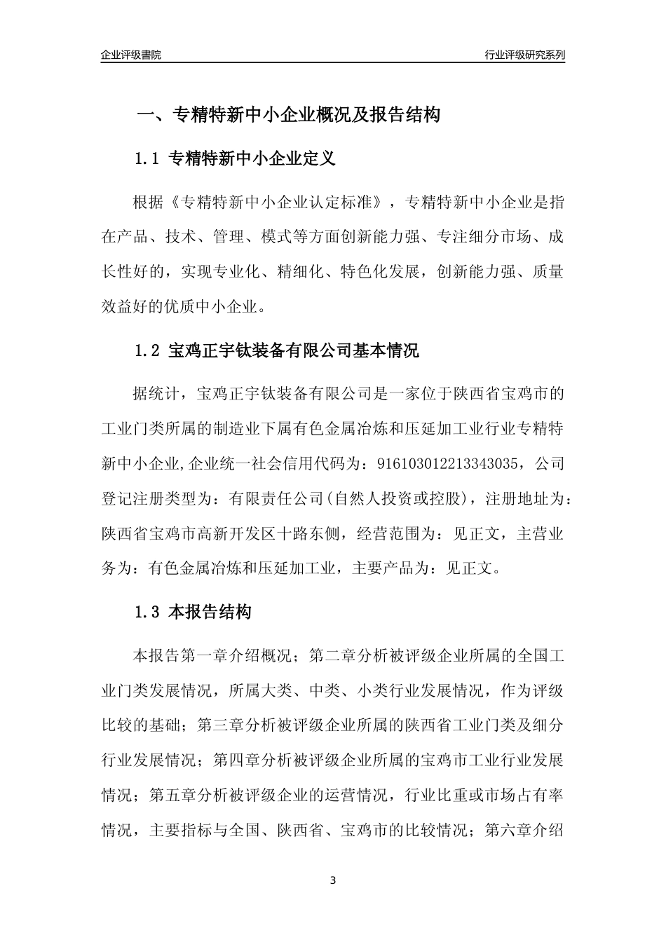 [专精特新]宝鸡正宇钛装备有限公司行业竞争力评级分析报告(2023版)_第3页