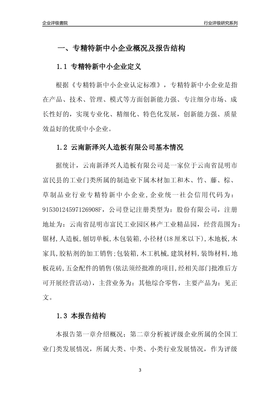 [专精特新]云南新泽兴人造板有限公司行业竞争力评级分析报告(2023版)_第3页