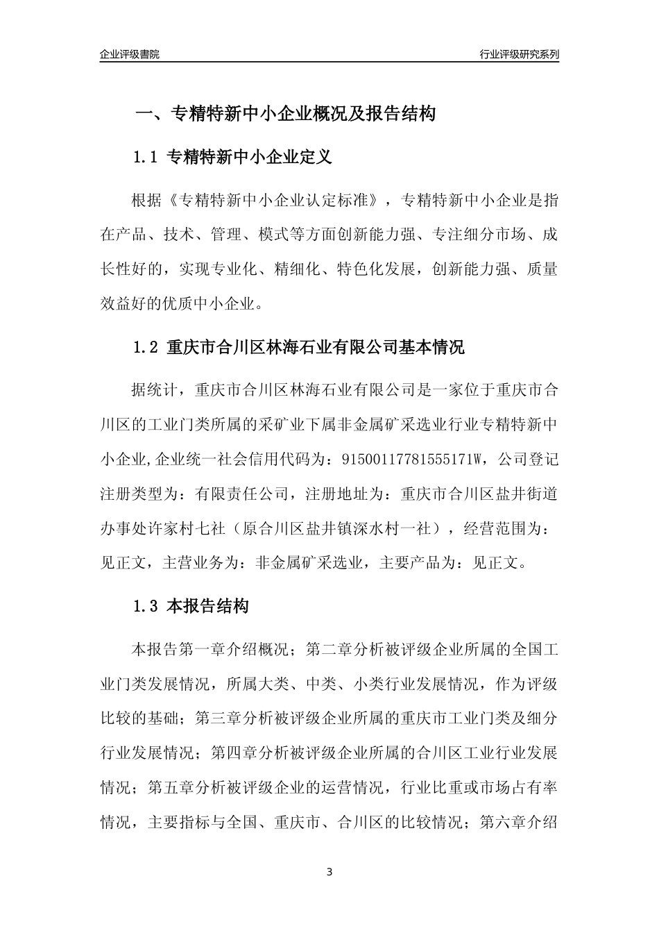 [专精特新]重庆市合川区林海石业有限公司行业竞争力评级分析报告(2023版)_第3页