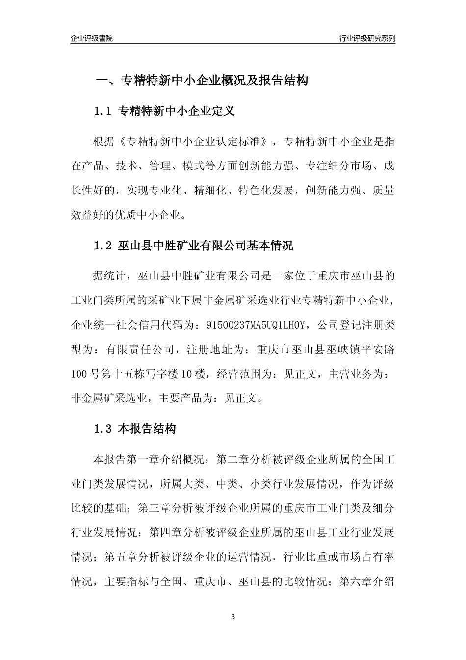 [专精特新]巫山县中胜矿业有限公司行业竞争力评级分析报告(2023版)_第3页
